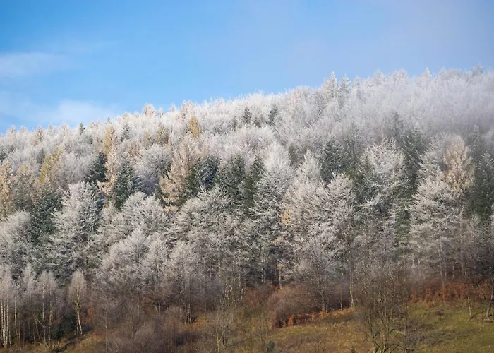 Sielsko Anielsko Chalet Stryszawa